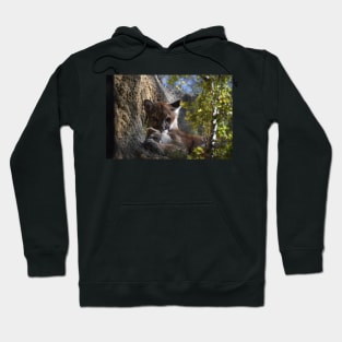 Mountain Lion Hoodie